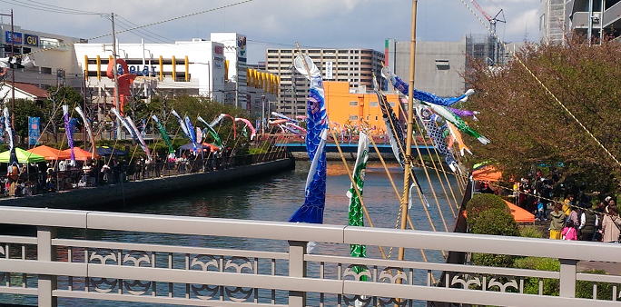 鯉来い祭り2